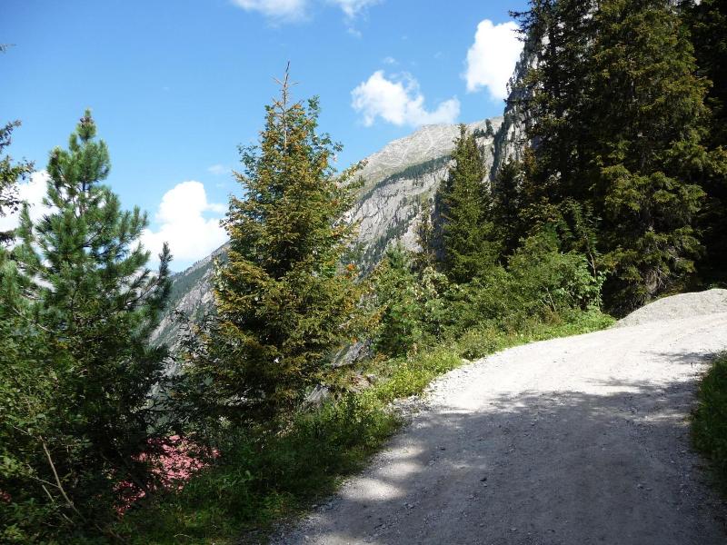 Apart Tuxertal image