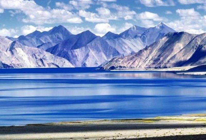 Blue Chill Cottage Pangong — general view