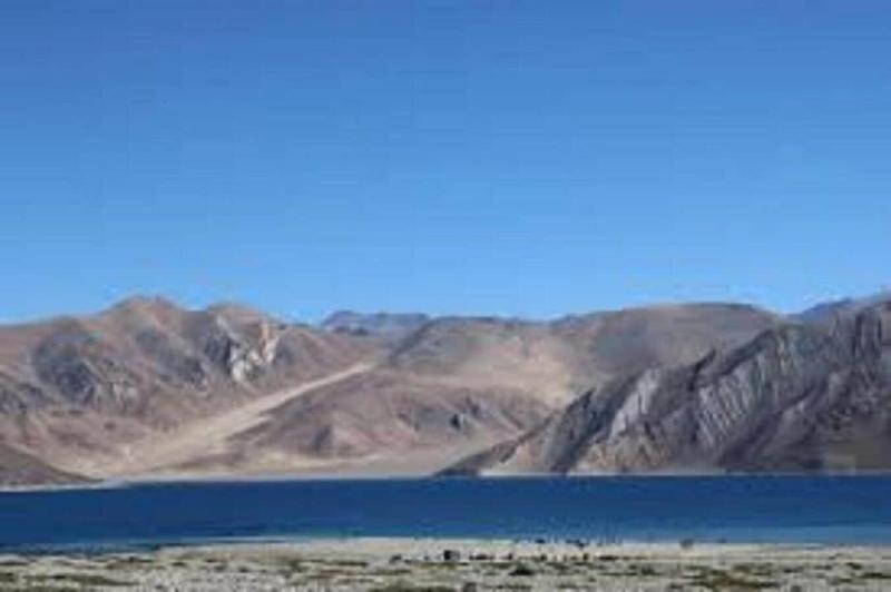 Blue Chill Cottage Pangong