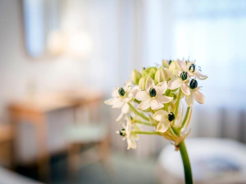 Cresta Alpin Sport Hotel image