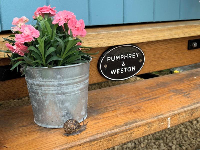 St Kew Shepherd Huts image
