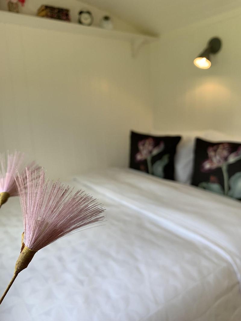 St Kew Shepherd Huts image