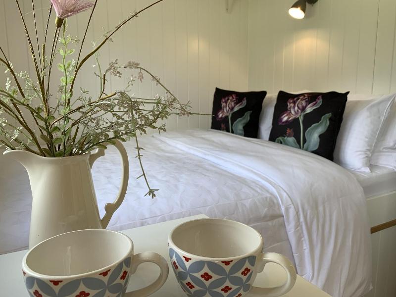 St Kew Shepherd Huts image
