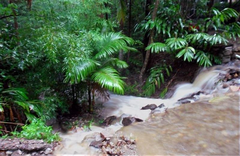 Treetops Accommodation Montville image