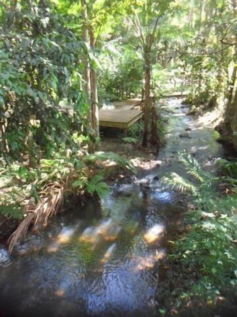 Treetops Accommodation Montville image