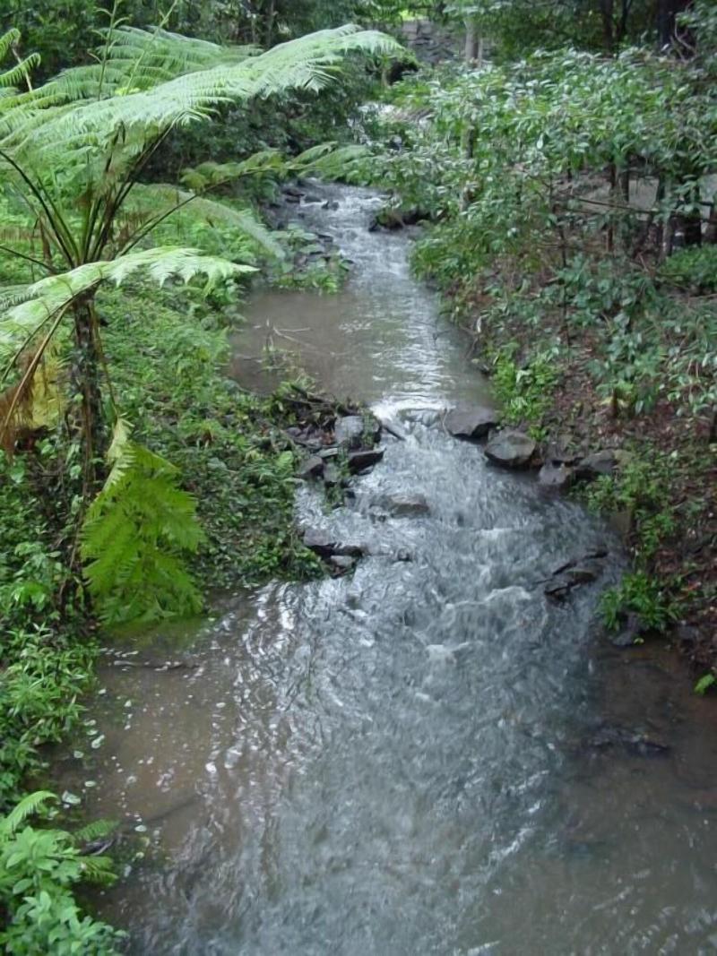 Treetops Accommodation Montville image