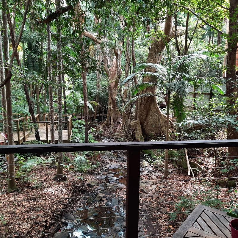 Treetops Accommodation Montville image