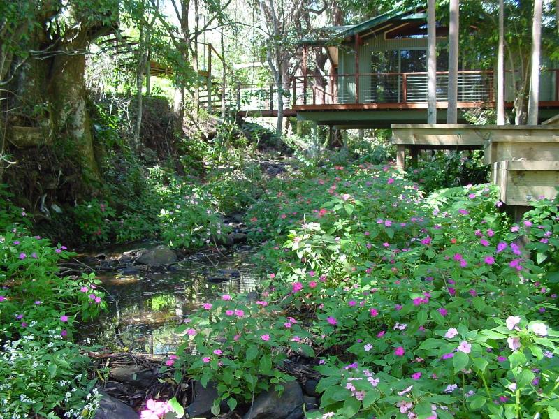 Treetops Accommodation Montville image