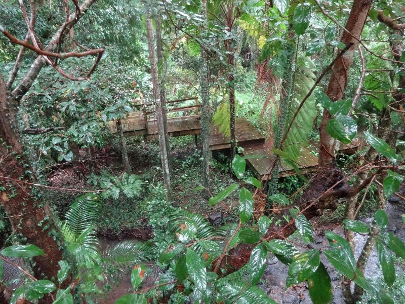 Treetops Accommodation Montville image