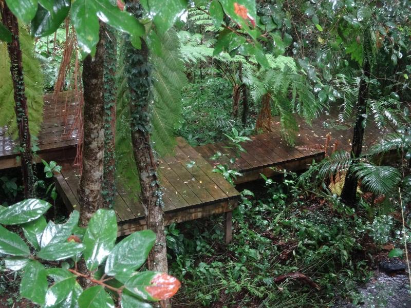 Treetops Accommodation Montville image