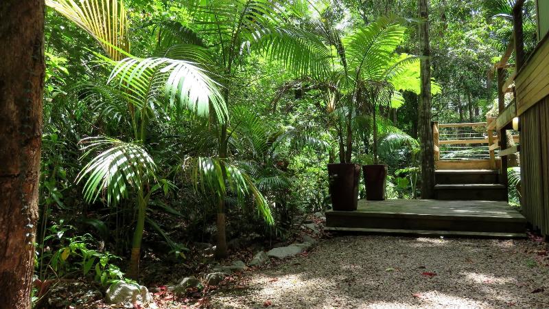 Treetops Accommodation Montville image
