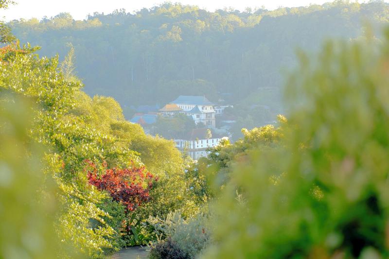 Castle Hill Bungalow image