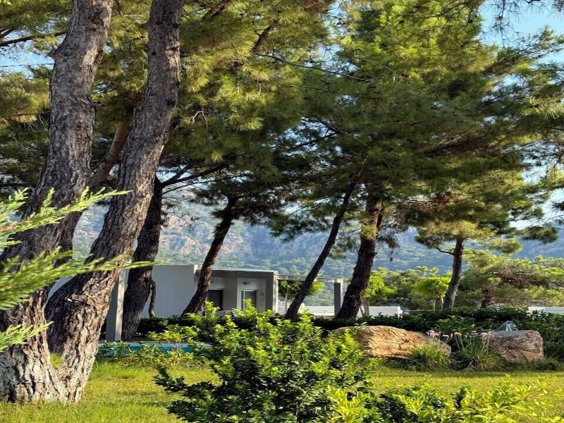 Z Villas image