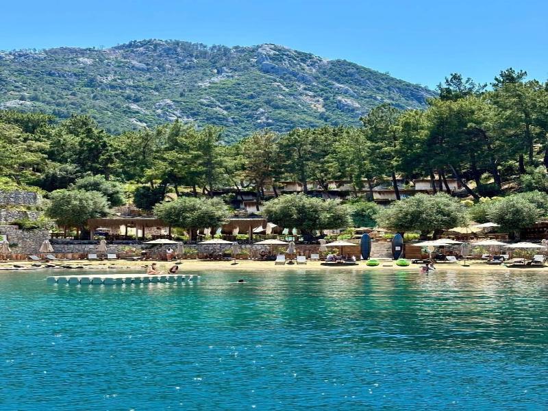 Z Villas image