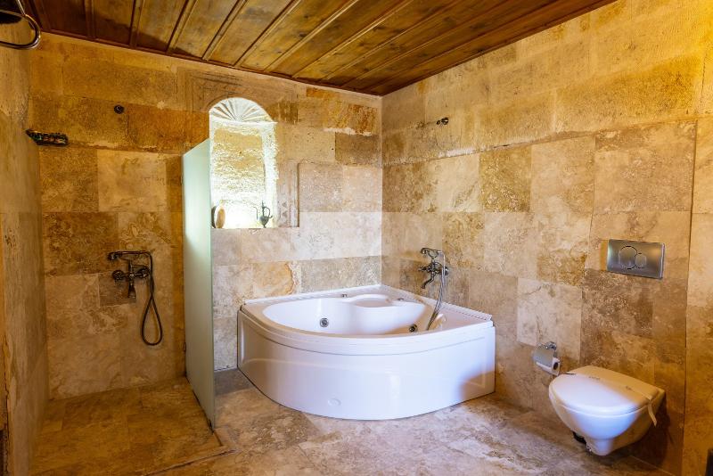 Castle Suit Hotel image