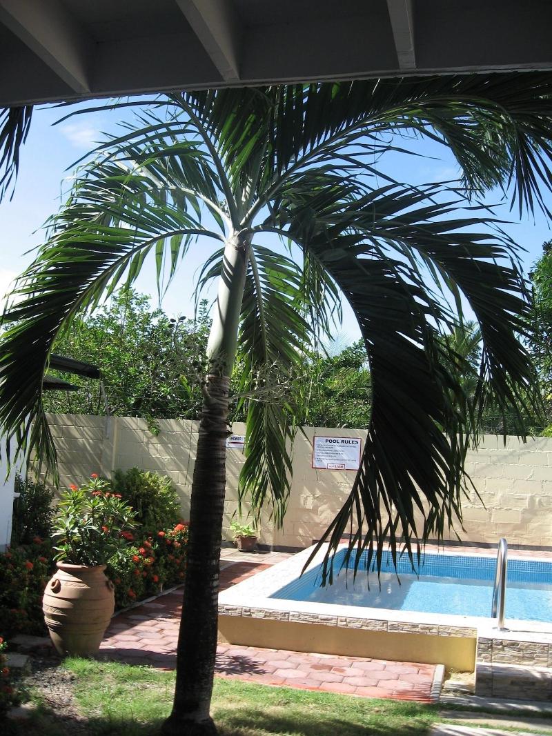 Guesthouse Amice image