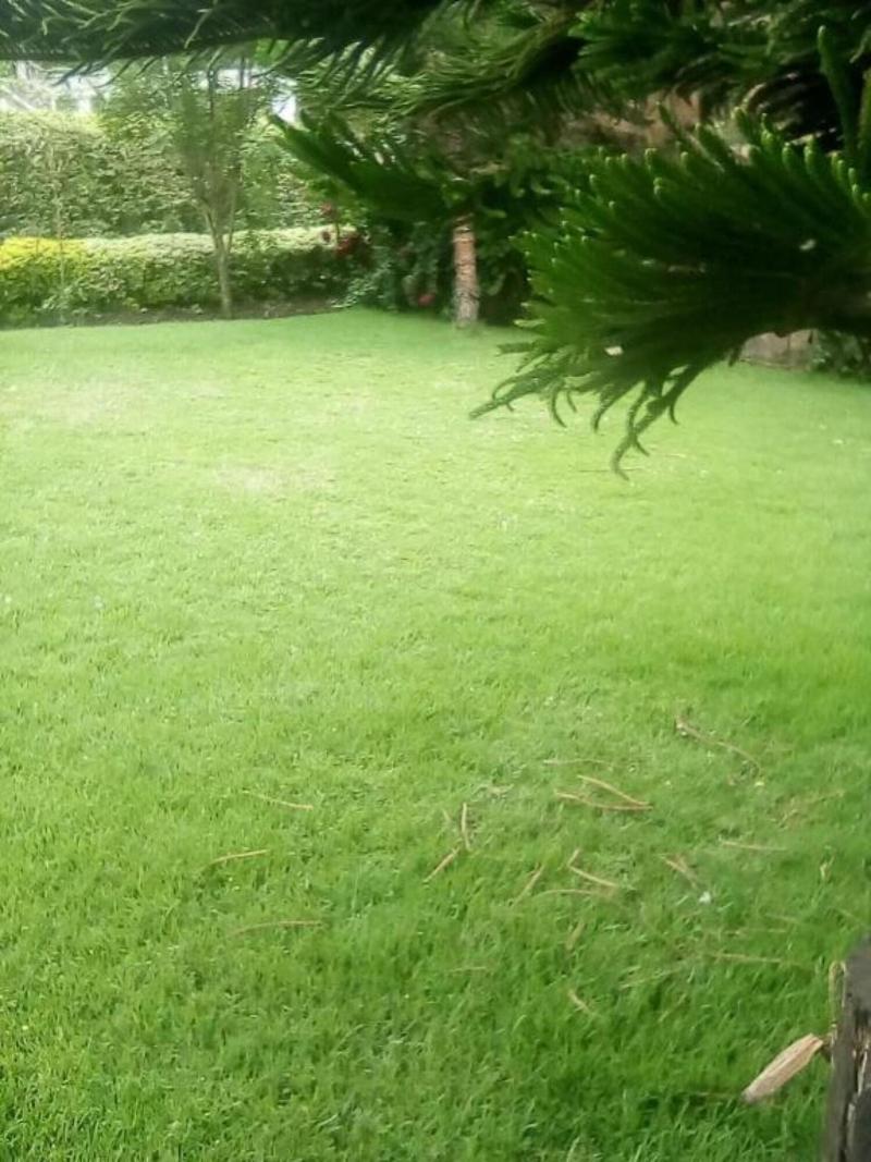 Sofa Camp Naivasha