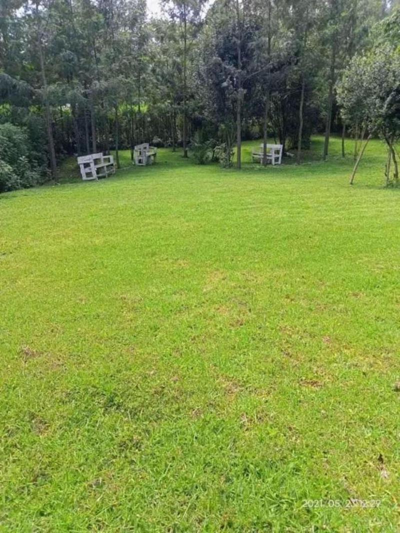 Sofa Camp Naivasha