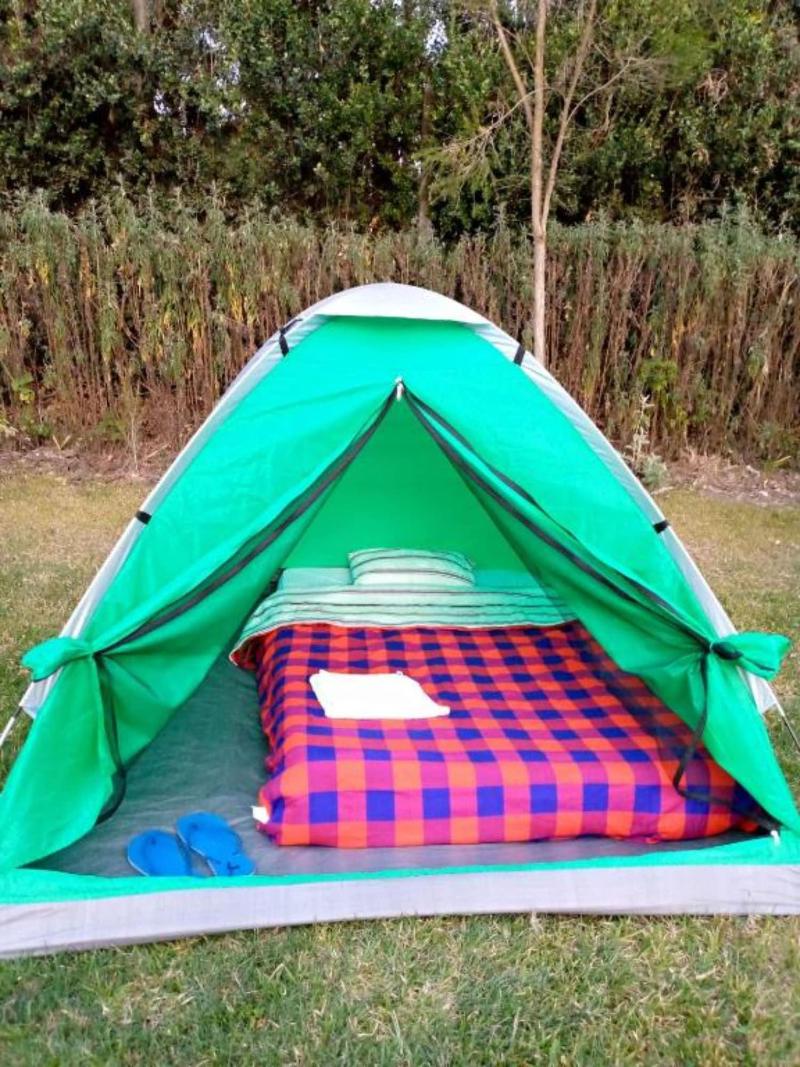 Sofa Camp Naivasha — photo 13