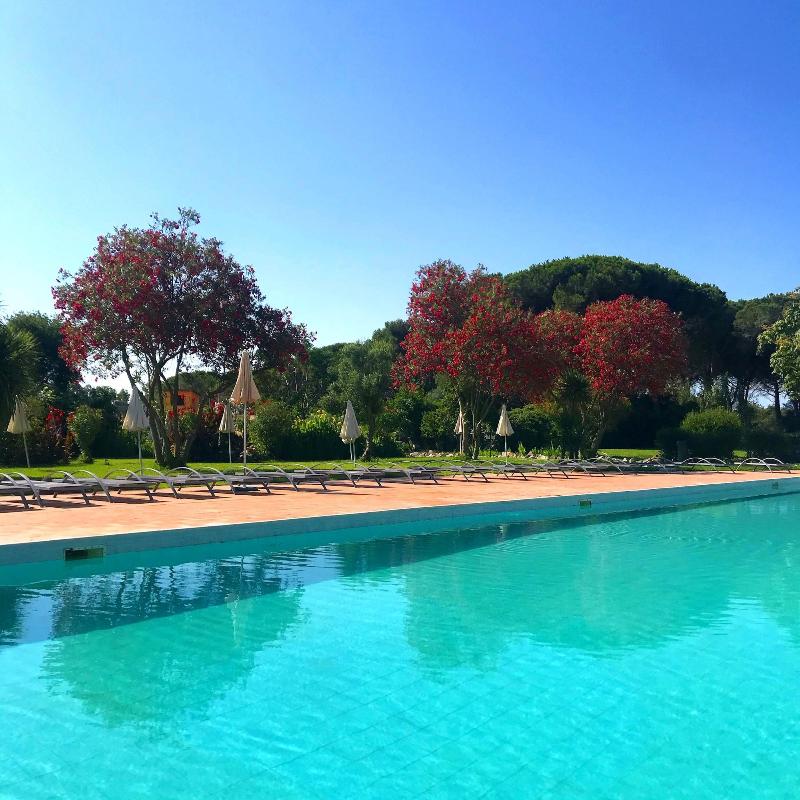 Hotel With Swimming Pool In Arborea image