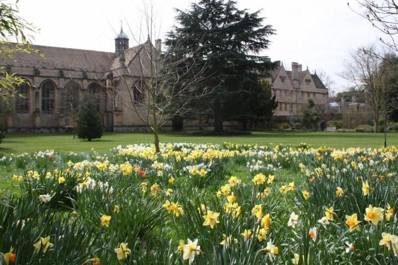 Wadham College Oxford image