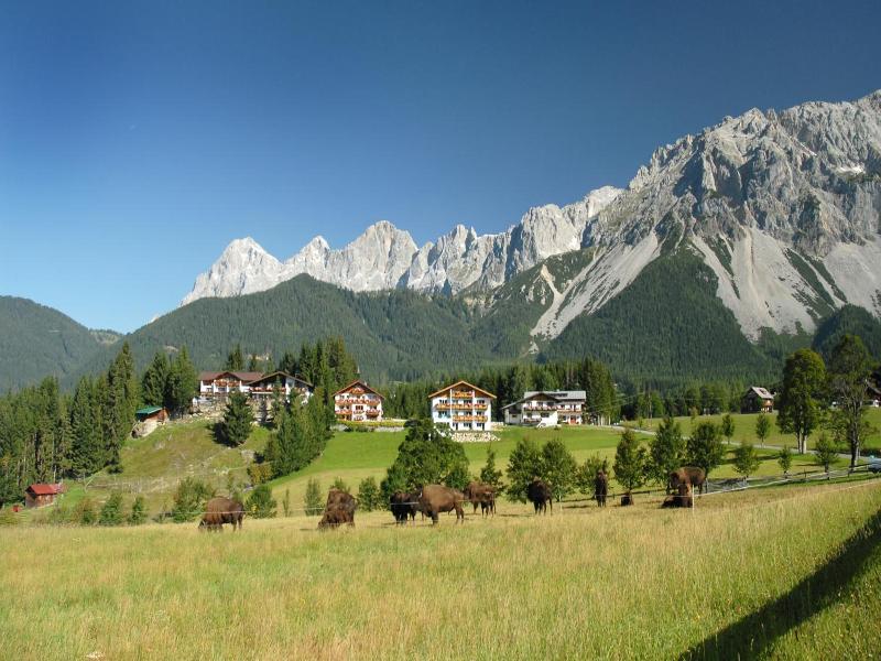 Hotel Ramsaueralm image
