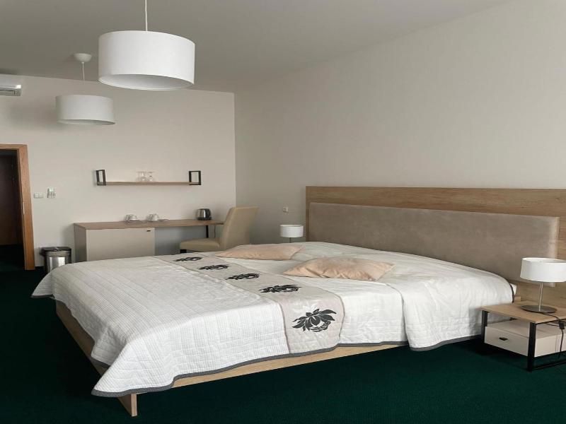 Sareza Hotel image