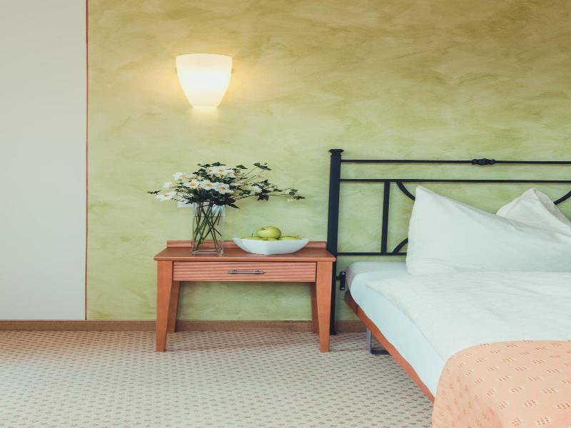 Hotel Tobler image