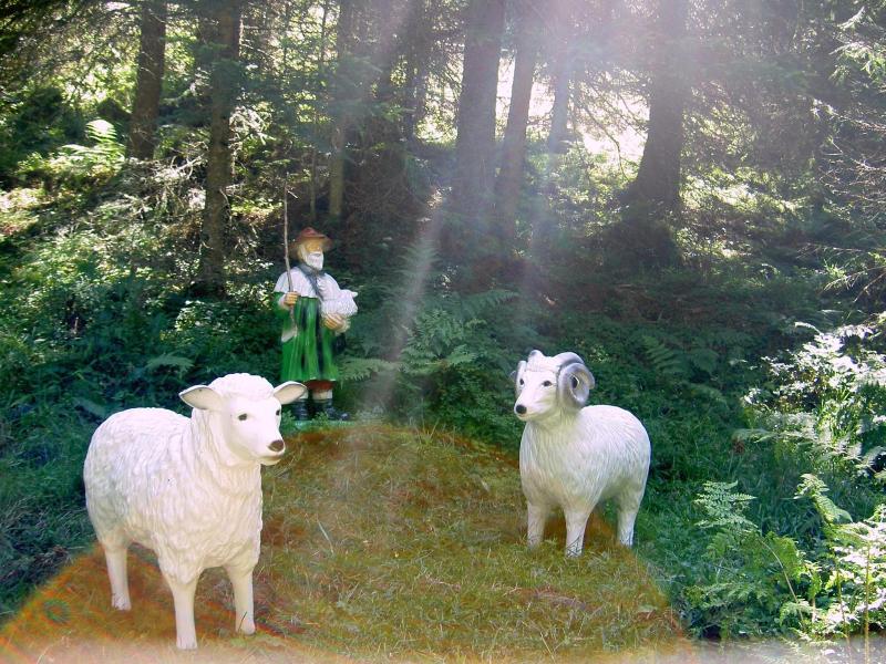 Zum Sepp image