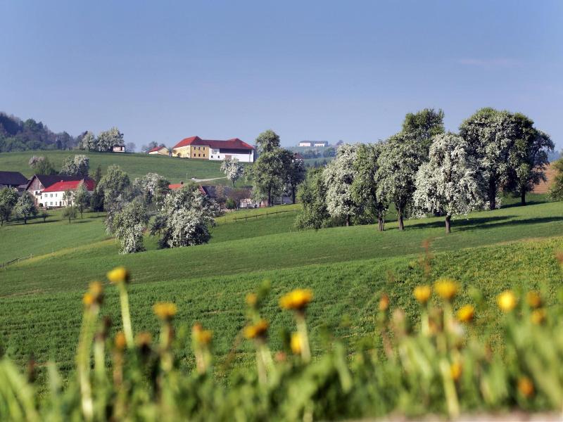 Gasthof Zur Linde image
