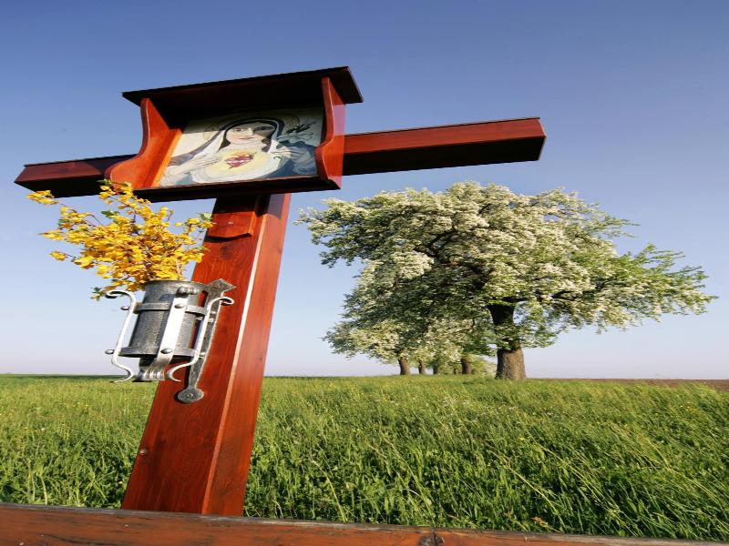 Gasthof Zur Linde image