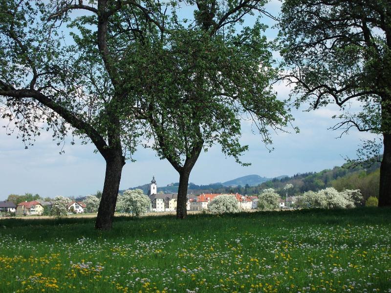 Gasthof Zur Linde image