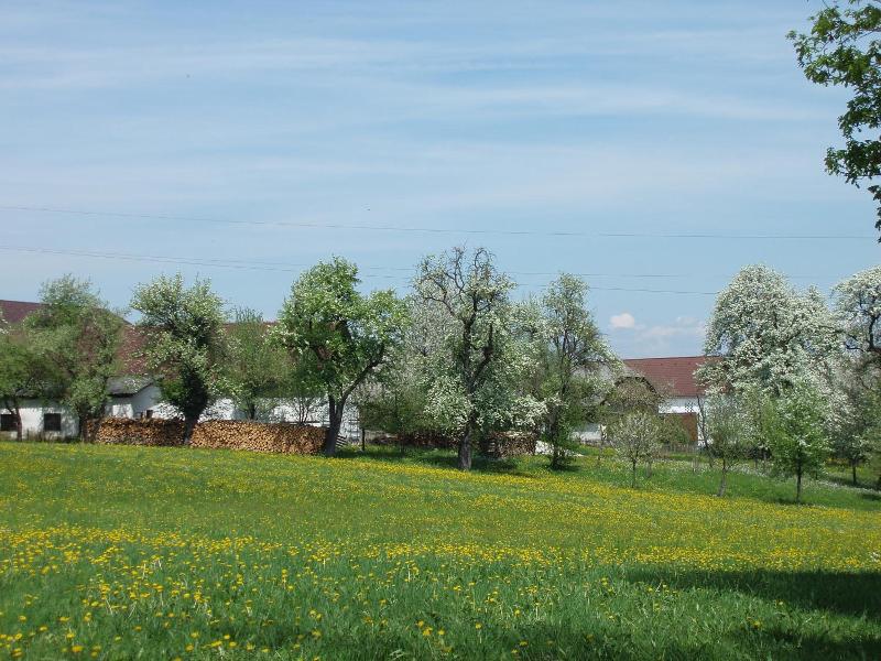Gasthof Zur Linde image