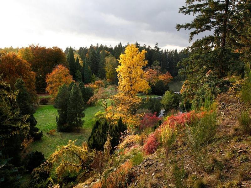 Hotel Floret image