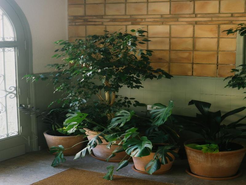 Hotel Can Solv image