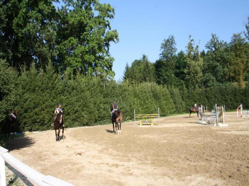 Sorgerhof image