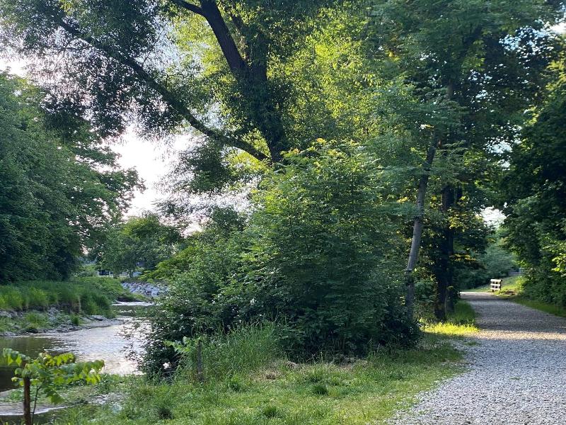 Hotel Zillners Einkehr image