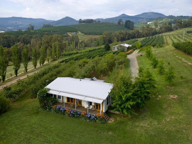 Borrodell Vineyard 3