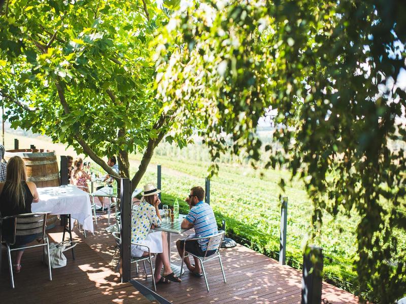 Borrodell Vineyard 4