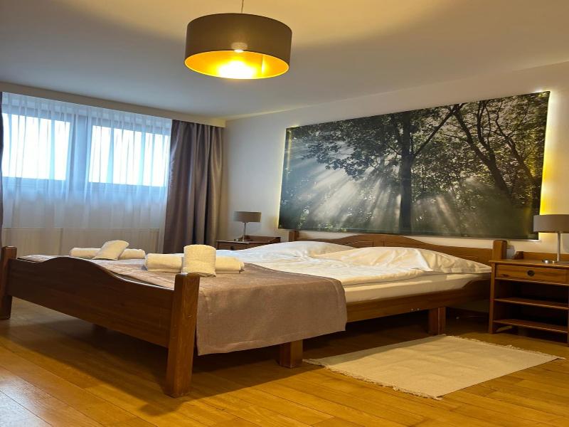 Hotel Vesta Centrum Konferencyjno Wypoczynkowe image