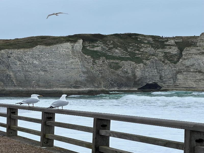 Normandy Etretat image