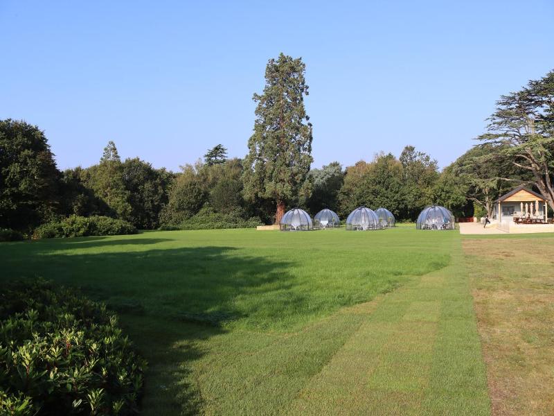 Orange Grove Hotel Gardens image