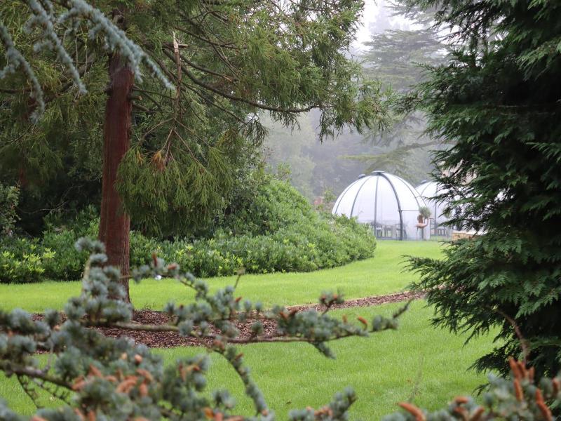 Orange Grove Hotel Gardens image