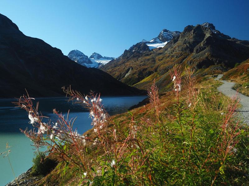Appart Laijola image