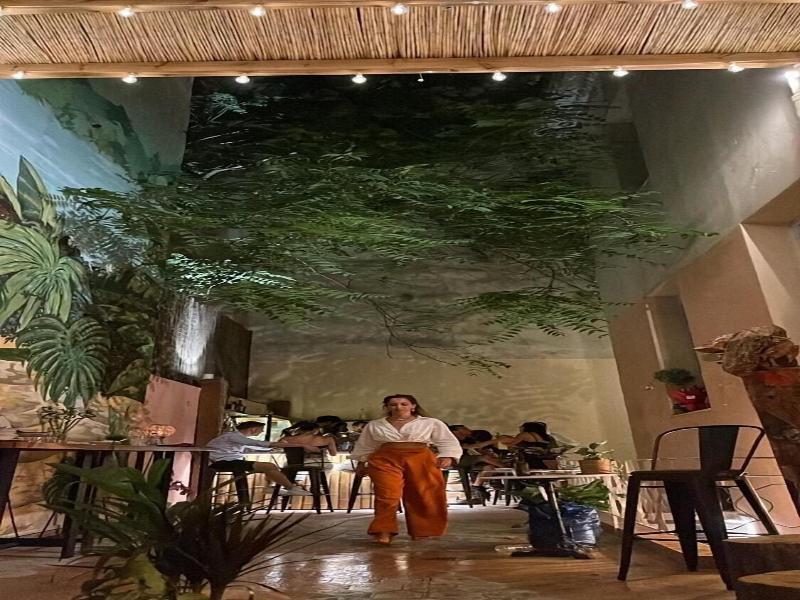 Baloo Hostel image