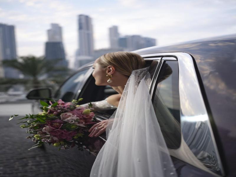 The Lana Dorchester Collection image
