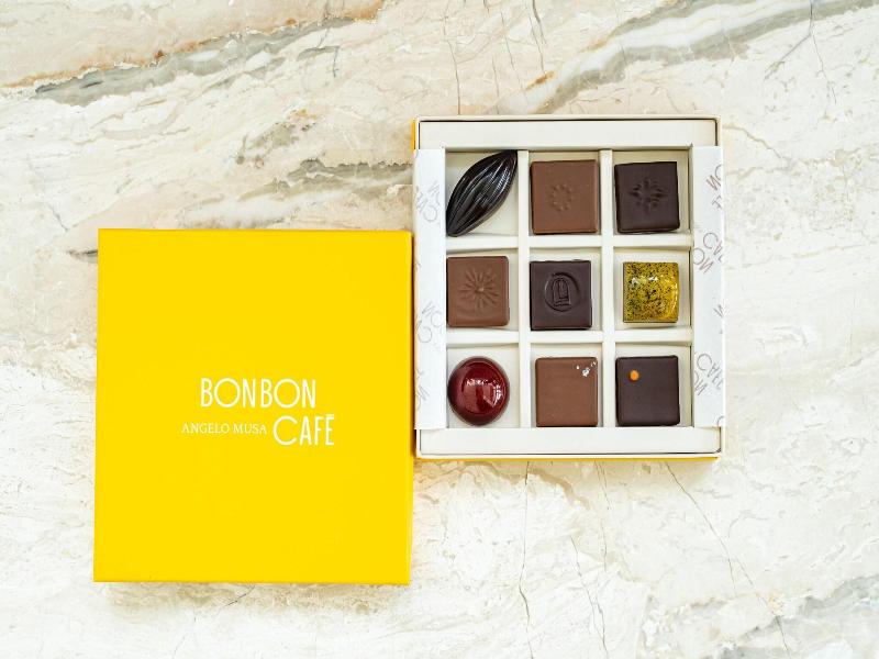 The Lana Dorchester Collection image