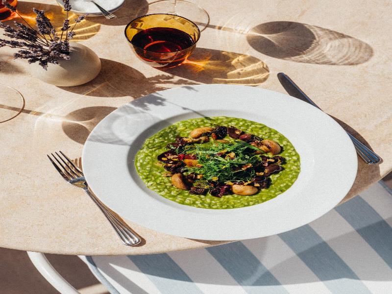 The Lana Dorchester Collection image