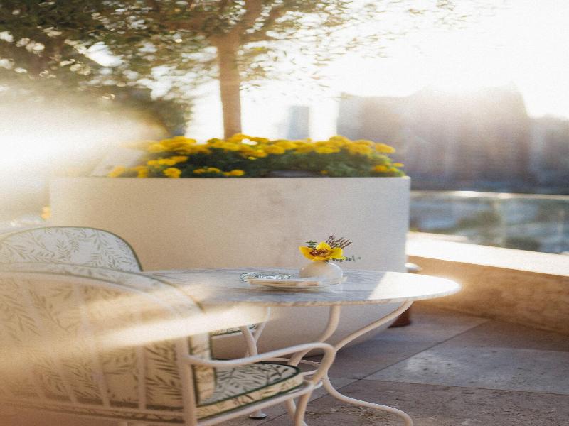 The Lana Dorchester Collection image