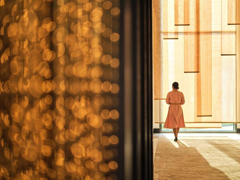 The Lana Dorchester Collection image